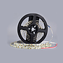  LED STRIPS Premium 2835-120 6000K IP20